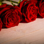 Κόκκινο τριαντάφυλλο τι συμβολίζει